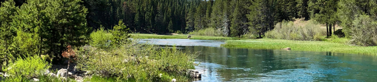 Truckee River 