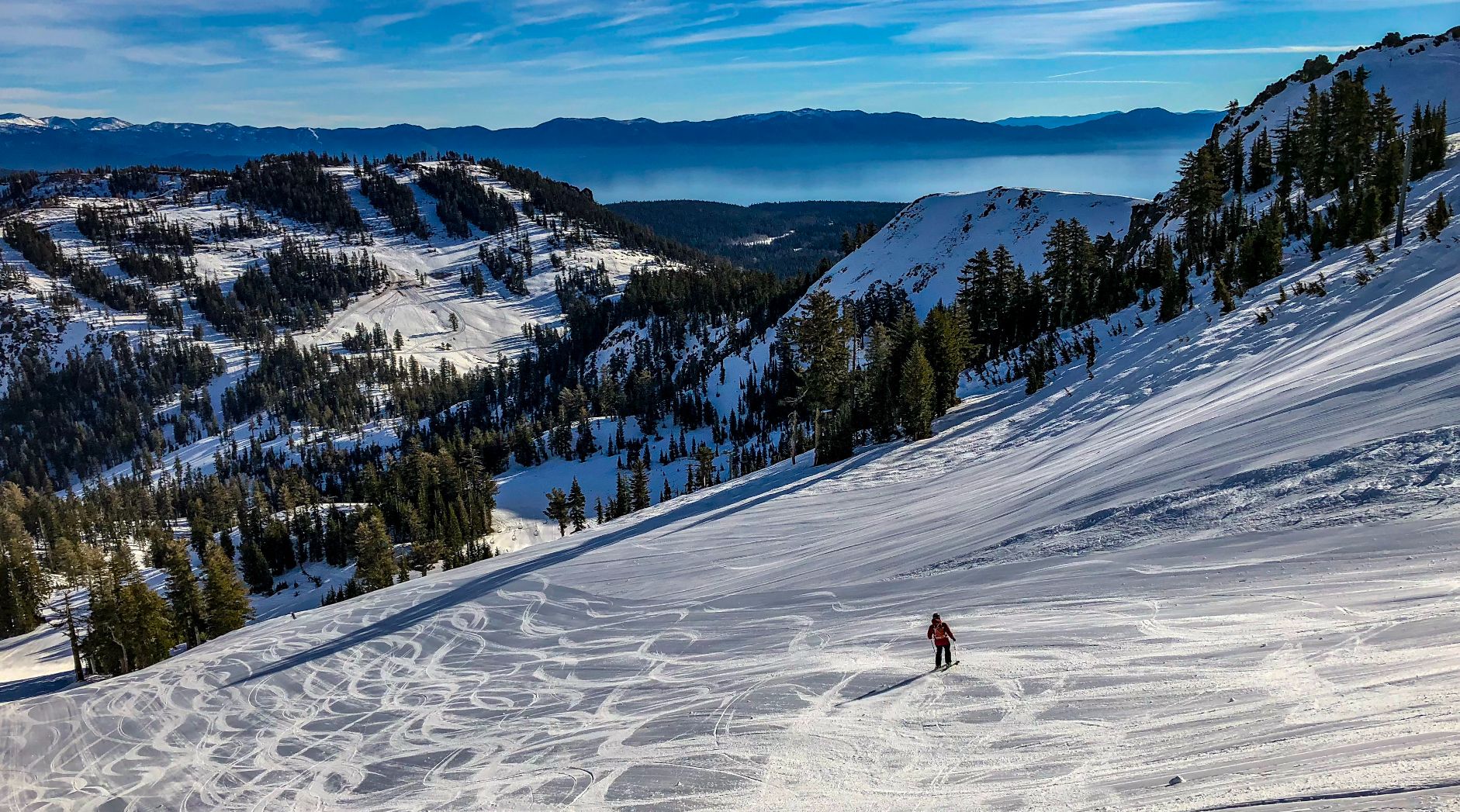 Alpine Meadows